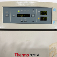 Thermo Forma Series II Water Jacketed Doublestack CO2 Incubator image 2